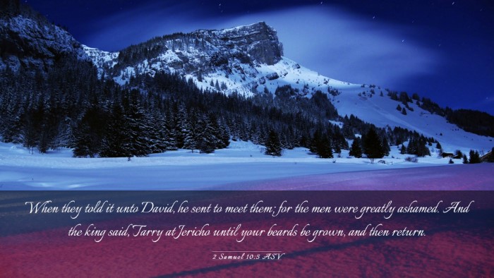 Picture 03 - 2 Samuel 10:5 ASV Desktop Wallpaper - When they told it unto David, he sent to meet - Desktop Bible Verse Wallpaper