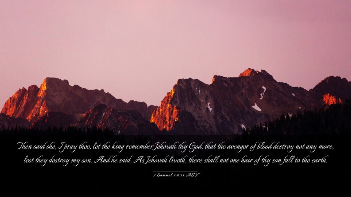 Picture 03 - 2 Samuel 14:11 ASV Desktop Wallpaper - Then said she, I pray thee, let the king remember - Desktop Bible Verse Wallpaper