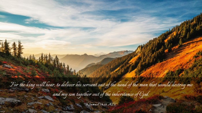 Picture 03 - 2 Samuel 14:16 ASV Desktop Wallpaper - For the king will hear, to deliver his servant - Desktop Bible Verse Wallpaper