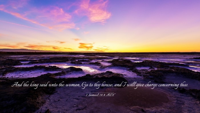 Picture 03 - 2 Samuel 14:8 ASV Desktop Wallpaper - And the king said unto the woman, Go to thy - Desktop Bible Verse Wallpaper