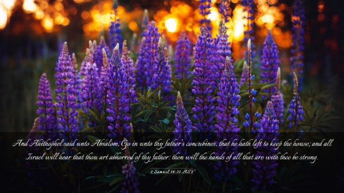 Picture 03 - 2 Samuel 16:21 ASV Desktop Wallpaper - And Ahithophel said unto Absalom, Go in unto thy - Desktop Bible Verse Wallpaper