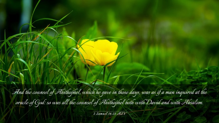Picture 03 - 2 Samuel 16:23 ASV Desktop Wallpaper - And the counsel of Ahithophel, which he gave in - Desktop Bible Verse Wallpaper