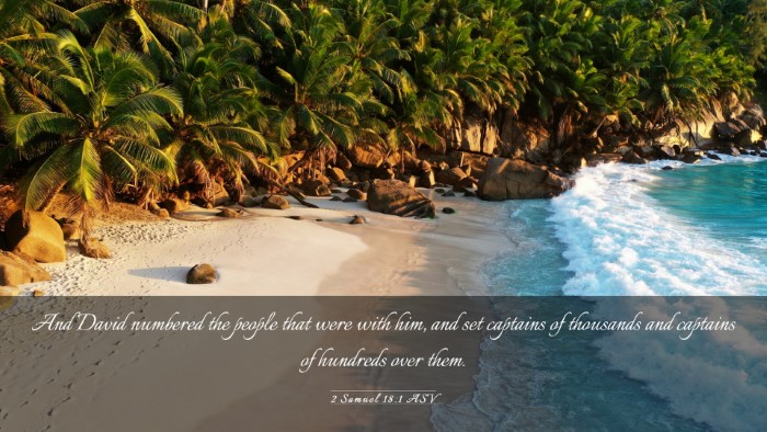 Picture 03 - 2 Samuel 18:1 ASV Desktop Wallpaper - And David numbered the people that were with him, - Desktop Bible Verse Wallpaper