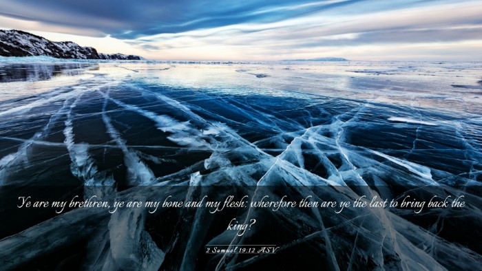 Picture 03 - 2 Samuel 19:12 ASV Desktop Wallpaper - Ye are my brethren, ye are my bone and my flesh: - Desktop Bible Verse Wallpaper