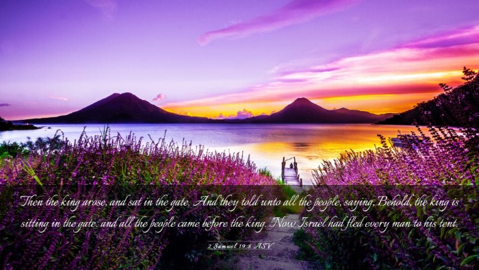 Picture 03 - 2 Samuel 19:8 ASV Desktop Wallpaper - Then the king arose, and sat in the gate. And - Desktop Bible Verse Wallpaper