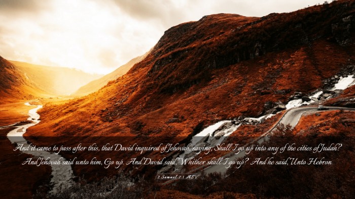 Picture 03 - 2 Samuel 2:1 ASV Desktop Wallpaper - And it came to pass after this, that David - Desktop Bible Verse Wallpaper