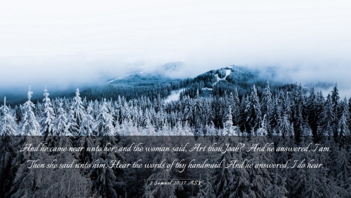 Picture 03 - 2 Samuel 20:17 ASV Desktop Wallpaper - And he came near unto her; and the woman said, - Desktop Bible Verse Wallpaper