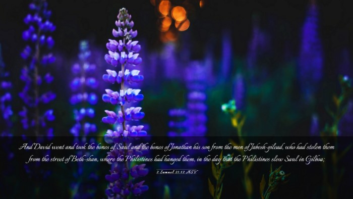 Picture 03 - 2 Samuel 21:12 ASV Desktop Wallpaper - And David went and took the bones of Saul and the - Desktop Bible Verse Wallpaper