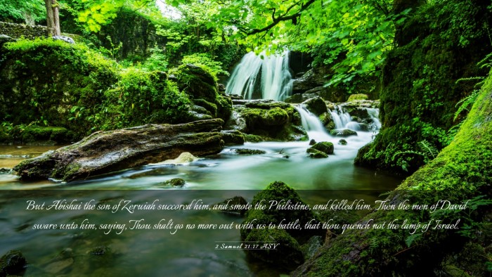 Picture 03 - 2 Samuel 21:17 ASV Desktop Wallpaper - But Abishai the son of Zeruiah succored him, and - Desktop Bible Verse Wallpaper