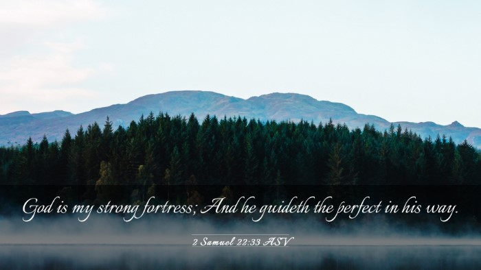 Picture 03 - 2 Samuel 22:33 ASV Desktop Wallpaper - God is my strong fortress; And he guideth the - Desktop Bible Verse Wallpaper