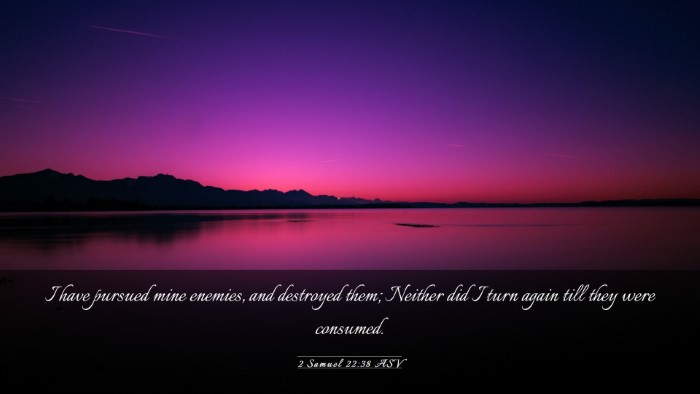 Picture 03 - 2 Samuel 22:38 ASV Desktop Wallpaper - I have pursued mine enemies, and destroyed them; - Desktop Bible Verse Wallpaper