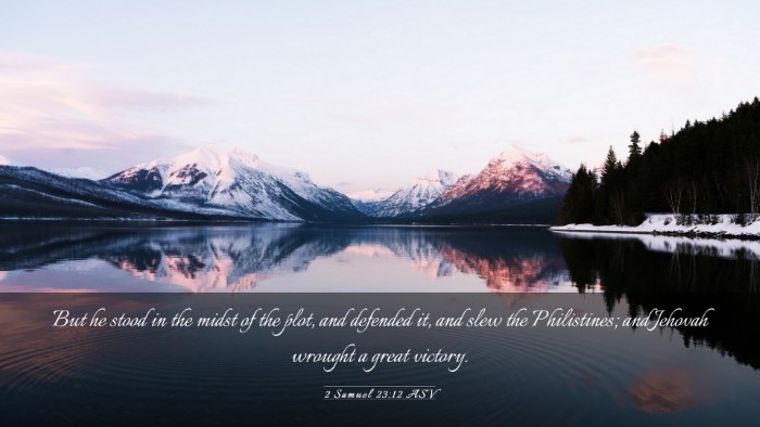 Picture 03 - 2 Samuel 23:12 ASV Desktop Wallpaper - But he stood in the midst of the plot, and - Desktop Bible Verse Wallpaper