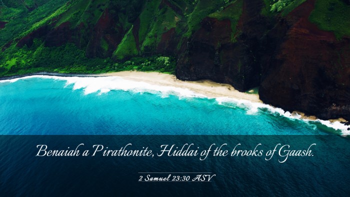 Picture 03 - 2 Samuel 23:30 ASV Desktop Wallpaper - Benaiah a Pirathonite, Hiddai of the brooks of - Desktop Bible Verse Wallpaper
