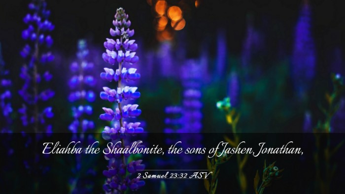 Picture 03 - 2 Samuel 23:32 ASV Desktop Wallpaper - Eliahba the Shaalbonite, the sons of Jashen, - Desktop Bible Verse Wallpaper