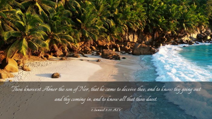 Picture 03 - 2 Samuel 3:25 ASV Desktop Wallpaper - Thou knowest Abner the son of Ner, that he came - Desktop Bible Verse Wallpaper