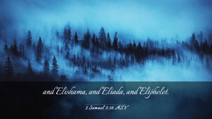Picture 03 - 2 Samuel 5:16 ASV Desktop Wallpaper - and Elishama, and Eliada, and - Desktop Bible Verse Wallpaper