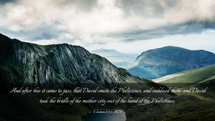 Picture 03 - 2 Samuel 8:1 ASV Desktop Wallpaper - And after this it came to pass, that David smote - Desktop Bible Verse Wallpaper