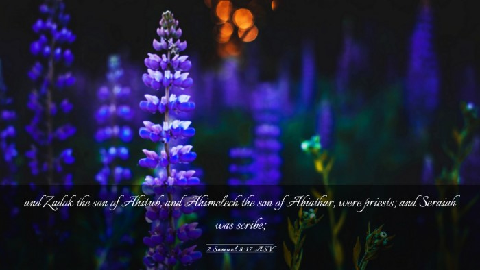 Picture 03 - 2 Samuel 8:17 ASV Desktop Wallpaper - and Zadok the son of Ahitub, and Ahimelech the - Desktop Bible Verse Wallpaper