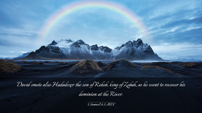 Picture 03 - 2 Samuel 8:3 ASV Desktop Wallpaper - David smote also Hadadezer the son of Rehob, king - Desktop Bible Verse Wallpaper