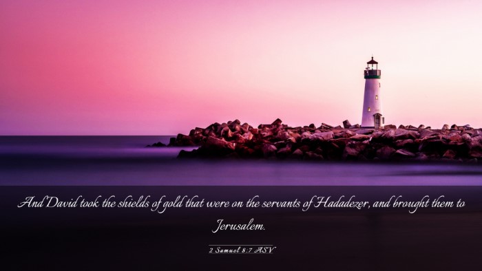 Picture 03 - 2 Samuel 8:7 ASV Desktop Wallpaper - And David took the shields of gold that were on - Desktop Bible Verse Wallpaper