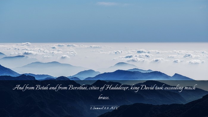 Picture 03 - 2 Samuel 8:8 ASV Desktop Wallpaper - And from Betah and from Berothai, cities of - Desktop Bible Verse Wallpaper