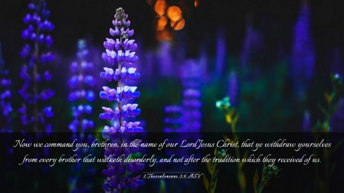 Picture 03 - 2 Thessalonians 3:6 ASV Desktop Wallpaper - Now we command you, brethren, in the name of our - Desktop Bible Verse Wallpaper