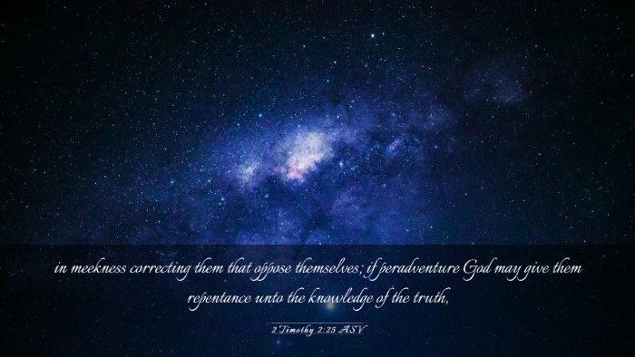 Picture 03 - 2 Timothy 2:25 ASV Desktop Wallpaper - in meekness correcting them that oppose - Desktop Bible Verse Wallpaper