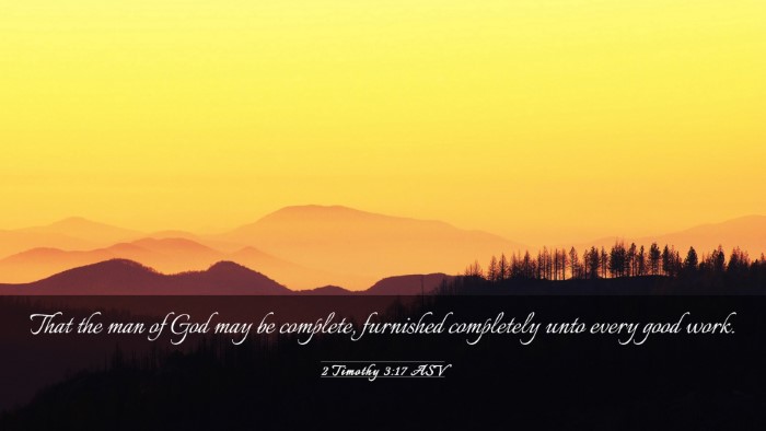 Picture 03 - 2 Timothy 3:17 ASV Desktop Wallpaper - That the man of God may be complete, furnished - Desktop Bible Verse Wallpaper
