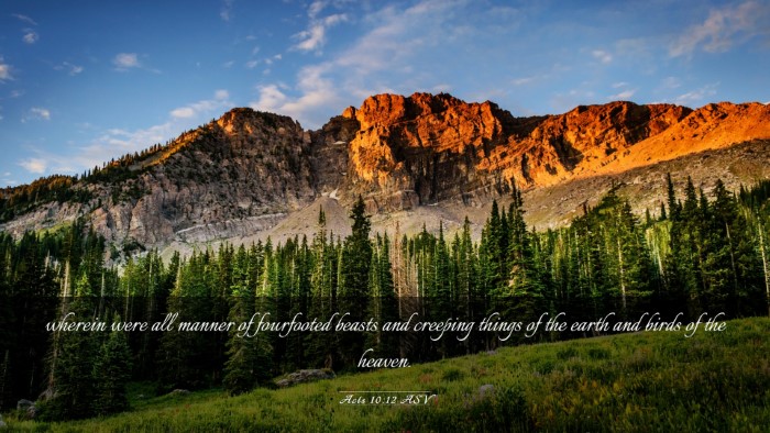 Picture 03 - Acts 10:12 ASV Desktop Wallpaper - wherein were all manner of fourfooted beasts and - Desktop Bible Verse Wallpaper
