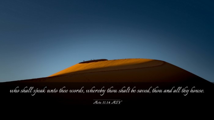 Picture 03 - Acts 11:14 ASV Desktop Wallpaper - who shall speak unto thee words, whereby thou - Desktop Bible Verse Wallpaper