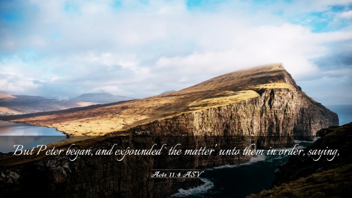 Picture 03 - Acts 11:4 ASV Desktop Wallpaper - But Peter began, and expounded `the matter' unto - Desktop Bible Verse Wallpaper