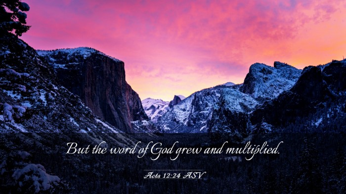 Picture 03 - Acts 12:24 ASV Desktop Wallpaper - But the word of God grew and - Desktop Bible Verse Wallpaper