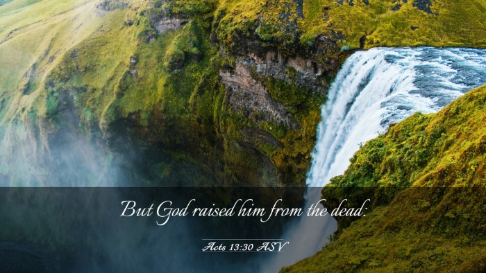 Picture 03 - Acts 13:30 ASV Desktop Wallpaper - But God raised him from the - Desktop Bible Verse Wallpaper