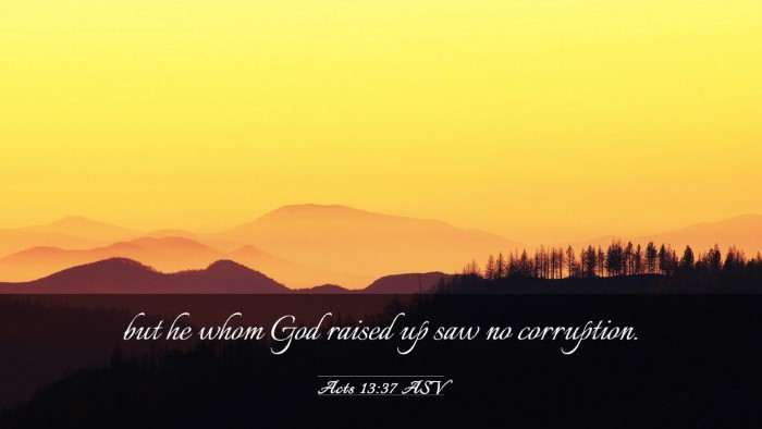 Picture 03 - Acts 13:37 ASV Desktop Wallpaper - but he whom God raised up saw no - Desktop Bible Verse Wallpaper
