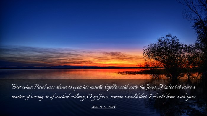 Picture 03 - Acts 18:14 ASV Desktop Wallpaper - But when Paul was about to open his mouth, Gallio - Desktop Bible Verse Wallpaper