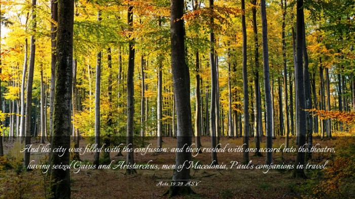 Picture 03 - Acts 19:29 ASV Desktop Wallpaper - And the city was filled with the confusion: and - Desktop Bible Verse Wallpaper