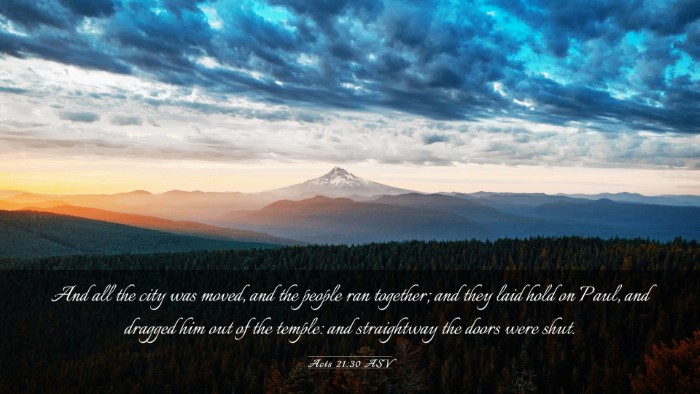 Picture 03 - Acts 21:30 ASV Desktop Wallpaper - And all the city was moved, and the people ran - Desktop Bible Verse Wallpaper