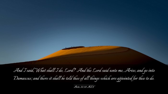 Picture 03 - Acts 22:10 ASV Desktop Wallpaper - And I said, What shall I do, Lord? And the Lord - Desktop Bible Verse Wallpaper