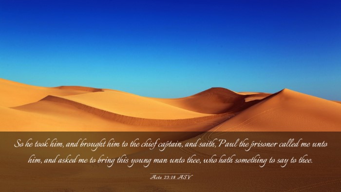 Picture 03 - Acts 23:18 ASV Desktop Wallpaper - So he took him, and brought him to the chief - Desktop Bible Verse Wallpaper