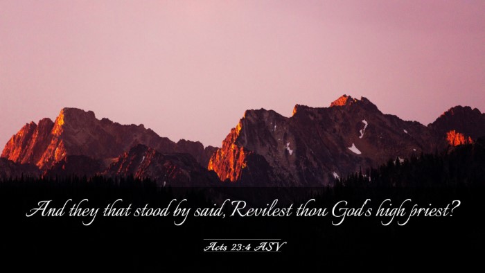 Picture 03 - Acts 23:4 ASV Desktop Wallpaper - And they that stood by said, Revilest thou God's - Desktop Bible Verse Wallpaper