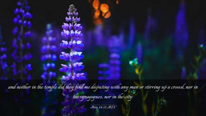 Picture 03 - Acts 24:12 ASV Desktop Wallpaper - and neither in the temple did they find me - Desktop Bible Verse Wallpaper