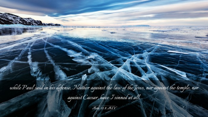 Picture 03 - Acts 25:8 ASV Desktop Wallpaper - while Paul said in his defense, Neither against - Desktop Bible Verse Wallpaper