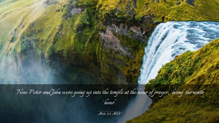 Picture 03 - Acts 3:1 ASV Desktop Wallpaper - Now Peter and John were going up into the temple - Desktop Bible Verse Wallpaper