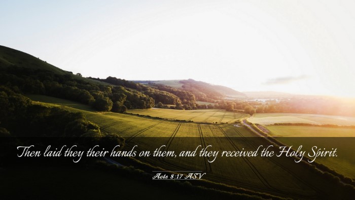 Picture 03 - Acts 8:17 ASV Desktop Wallpaper - Then laid they their hands on them, and they - Desktop Bible Verse Wallpaper