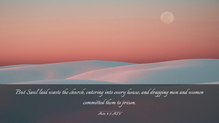 Picture 03 - Acts 8:3 ASV Desktop Wallpaper - But Saul laid waste the church, entering into - Desktop Bible Verse Wallpaper