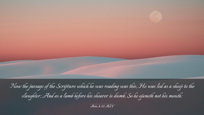 Picture 03 - Acts 8:32 ASV Desktop Wallpaper - Now the passage of the Scripture which he was - Desktop Bible Verse Wallpaper