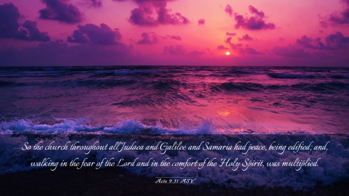 Picture 03 - Acts 9:31 ASV Desktop Wallpaper - So the church throughout all Judaea and Galilee - Desktop Bible Verse Wallpaper
