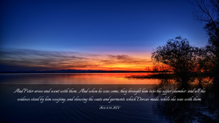 Picture 03 - Acts 9:39 ASV Desktop Wallpaper - And Peter arose and went with them. And when he - Desktop Bible Verse Wallpaper