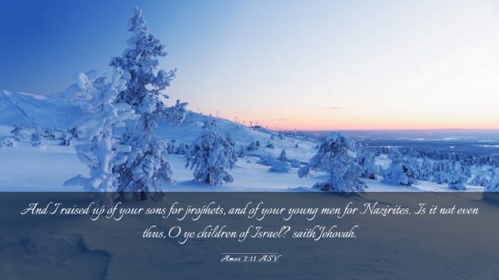 Picture 03 - Amos 2:11 ASV Desktop Wallpaper - And I raised up of your sons for prophets, and of - Desktop Bible Verse Wallpaper