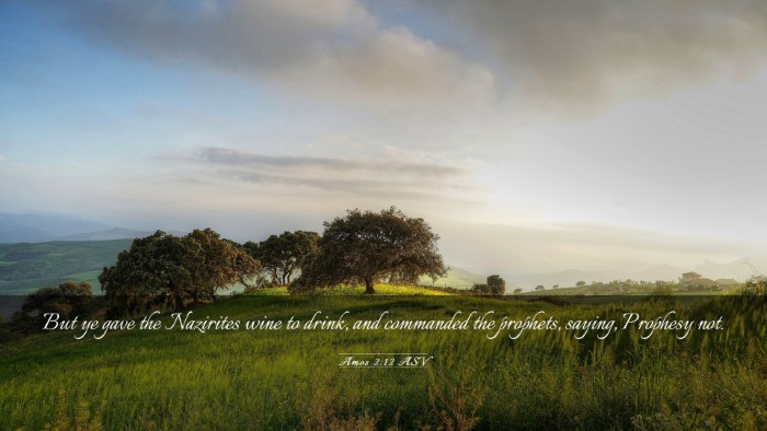 Picture 03 - Amos 2:12 ASV Desktop Wallpaper - But ye gave the Nazirites wine to drink, and - Desktop Bible Verse Wallpaper